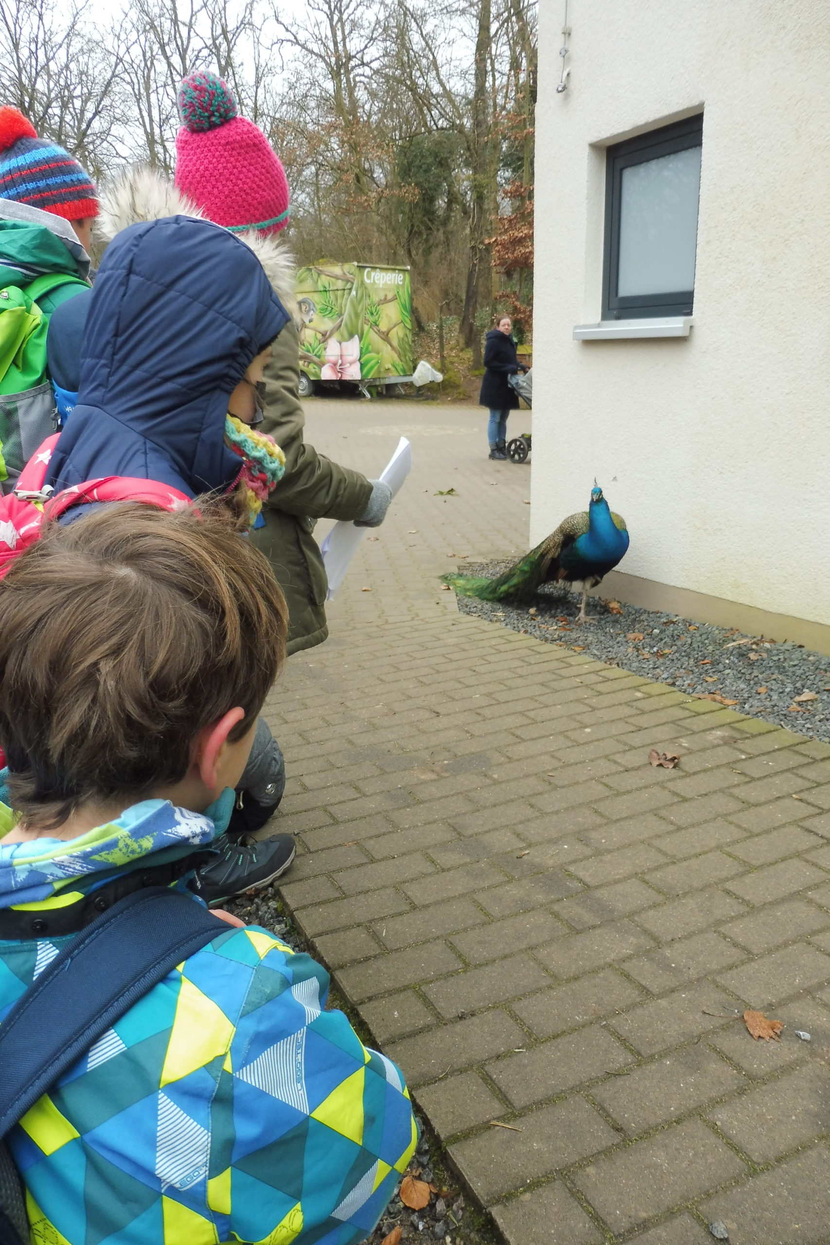 Wenig Programm lässt das Corona-Virus derzeit zu und das Jugendzentrum hat auch weiterhin geschlossen, aber am vergangenen Samstag, 29. Januar 2022 fand der vom Team der Kinder- und Jugendförderung sehnlichst [&hellip;]